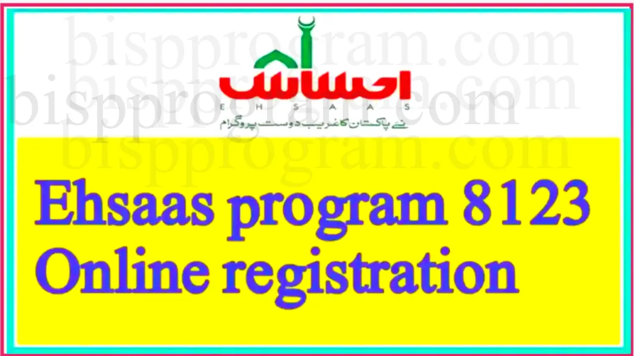 Ehsaas Program 8123 Online Registration