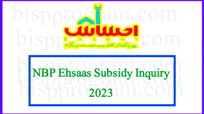 NBP Ehsaas Subsidy Inquiry