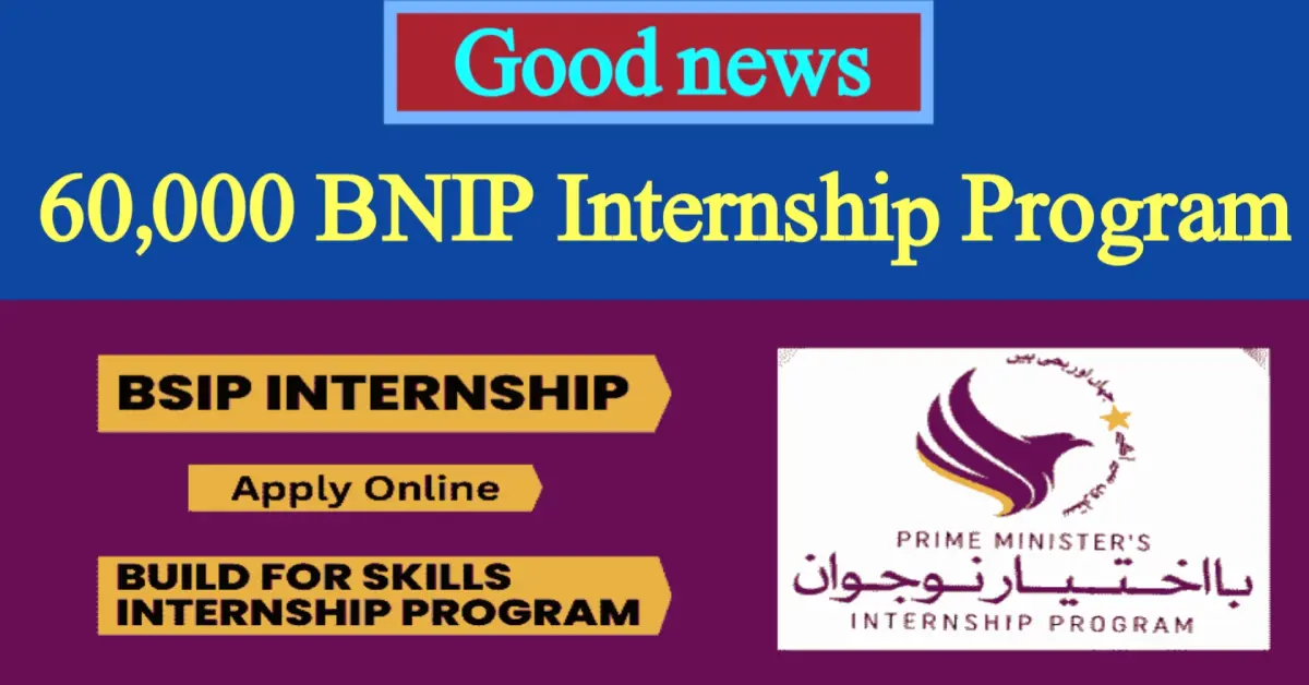 BNIP Internship Program