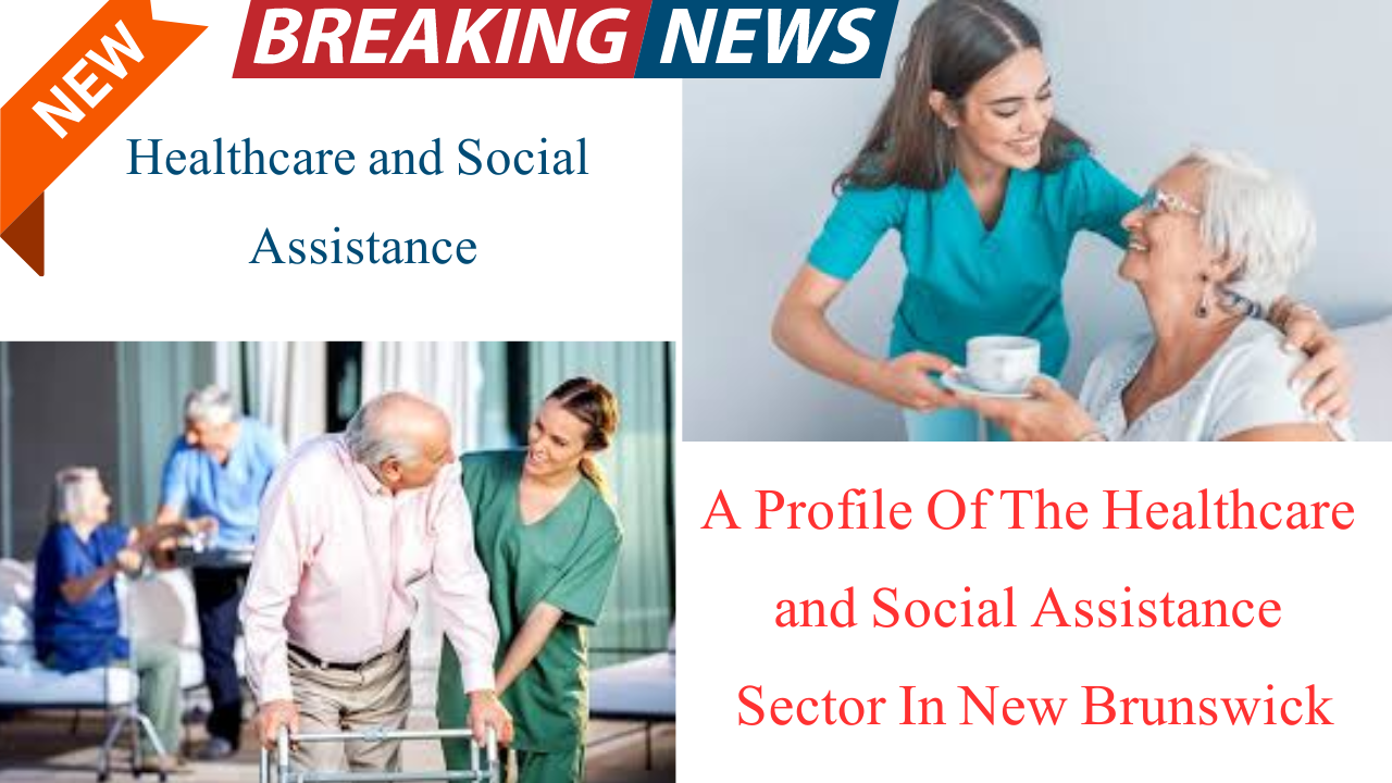 Healthcare and Social Program 2024